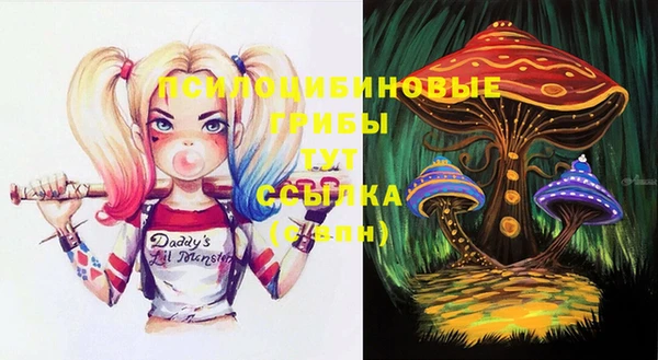 мдпв Навашино