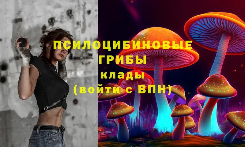 Псилоцибиновые грибы Psilocybe  магазин  наркотиков  blacksprut ССЫЛКА  Кинешма 