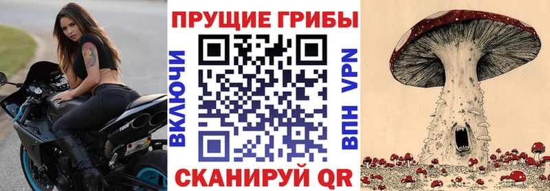 Галлюциногенные грибы Magic Shrooms  Кинешма 
