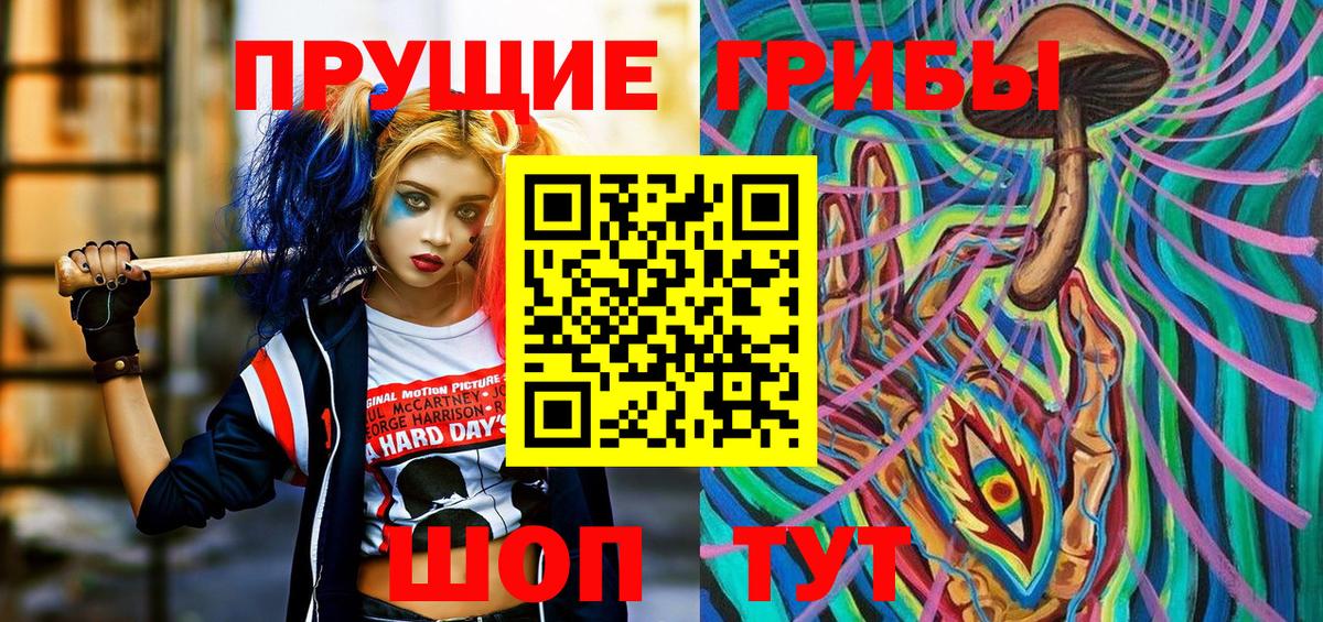 Псилоцибиновые грибы прущие грибы  Псилоцибиновые грибы Psilocybe  Кинешма 