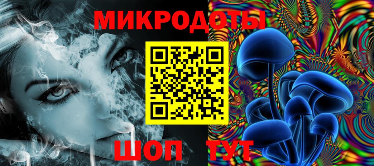 Галлюциногенные грибы Psilocybine cubensis Кинешма